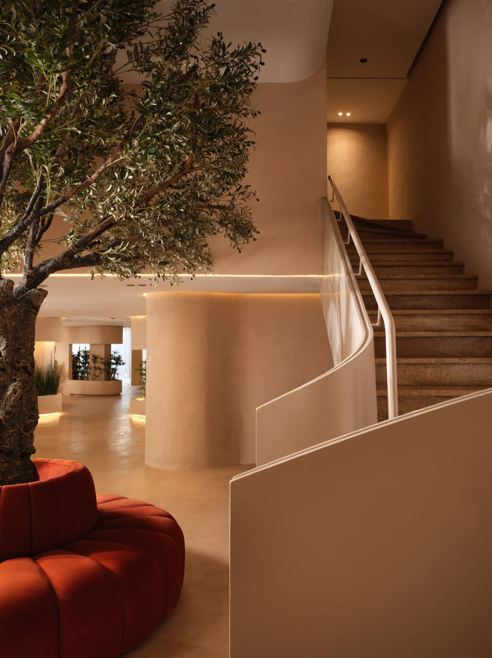 Ambiance d’un projet Aura Spa : escalier et olivier