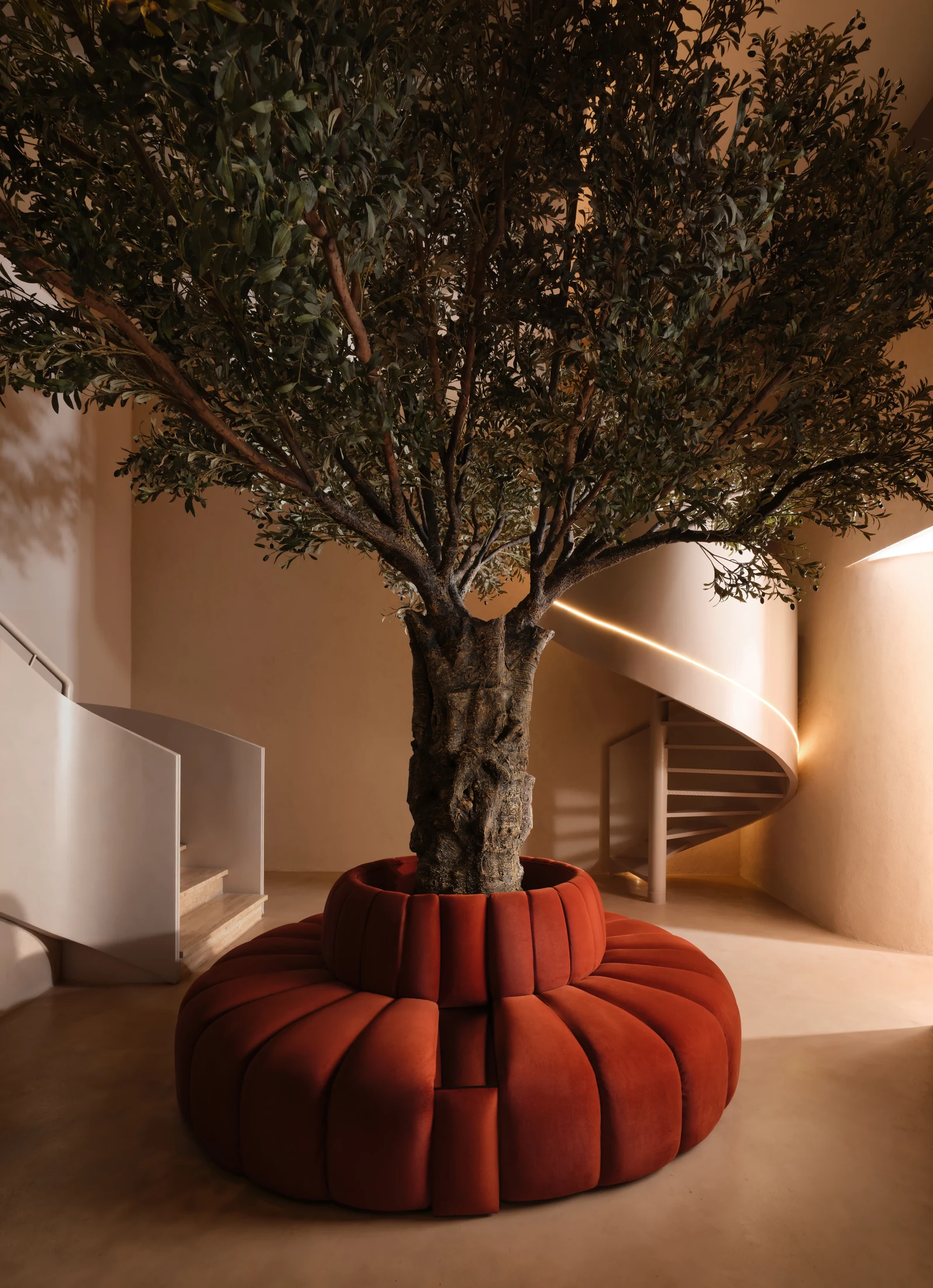 Ambiance d’un projet Aura Spa : olivier et assise terracotta